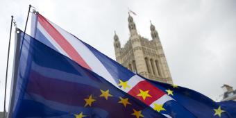 The work of the Lords EU Committee is unfinished – the new chair must be both objective and value our European friendships