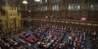 MPs call for number of peers to be slashed and size of House of Lords capped ‘without delay’