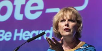 Pro-Brexit protestor admits harassing MP Anna Soubry outside Parliament