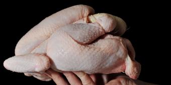 The Agriculture Bill must categorically rule out imports of food produced to lower standards