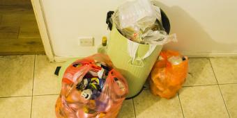 Leaked emails show plan for crisis centres to manage 'putrefying' rubbish after no-deal Brexit
