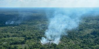 Boris Johnson should support a clear and strong international response to the Amazon wildfire