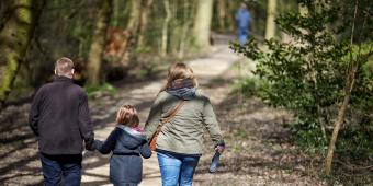 The new government must provide a consistent approach in tackling obesity