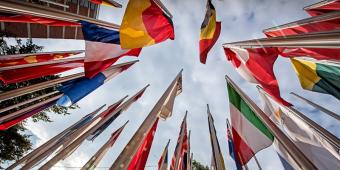 We need a Chief Government Linguist to promote modern languages
