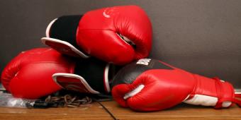 Ex-minister Phillip Lee attacks Government ‘cowardice’ over shelved prison boxing plan
