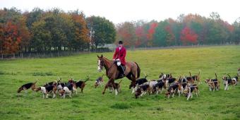 Theresa May to ‘ditch free vote pledge on ending fox-hunting ban’