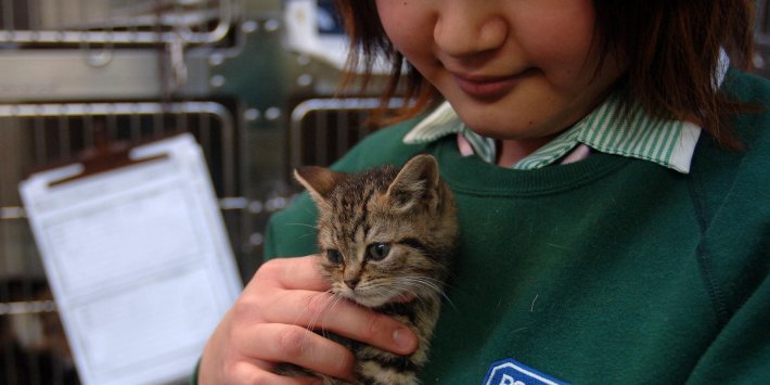New powers needed to better enforce Animal Welfare Act New powers needed to better enforce Animal Welfare Act