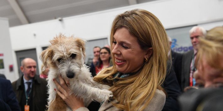 Carrie Symonds Brands Claim No10 Dog Dilyn Is Facing The Axe Total Crap