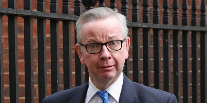 EXCL Top grassroots Tory says Michael Gove likely to lose leadership race  over Brexit extension pledge