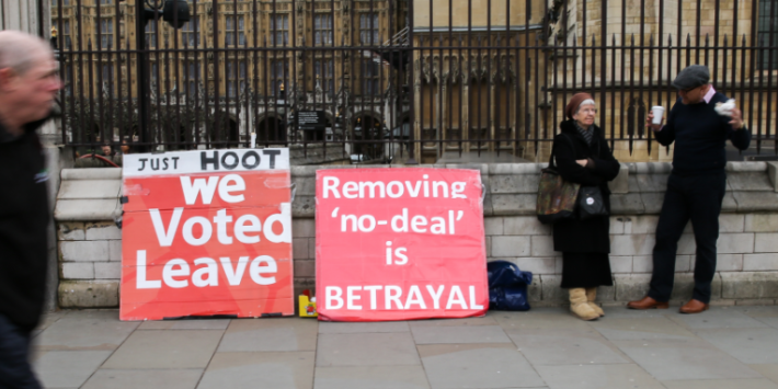 EXCL MPs advised to share taxis home amid fears of Brexit-related attacks