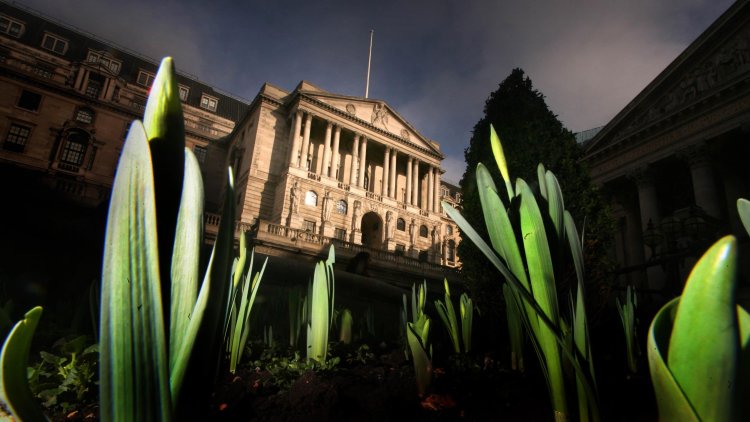Government's approach to energy efficiency 'commendable'