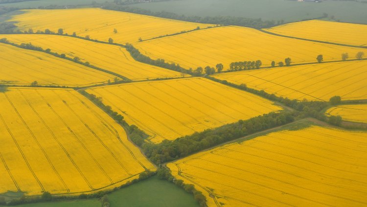 CPRE: Hands off the Green Belt