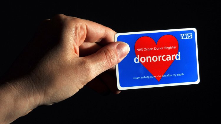 Organ donations up 50%