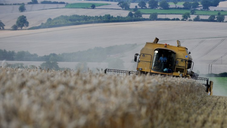 The myth of ‘natural’ farming