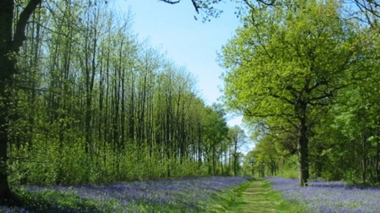 Trust welcomes committee report into 'greening the CAP'