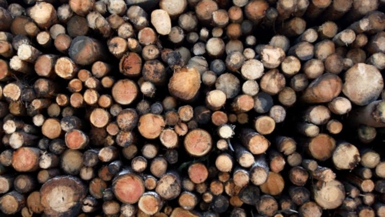 Biomass subsidies are distorting the market
