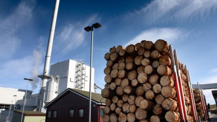Biomass plants are a ‘threat to business and environment’