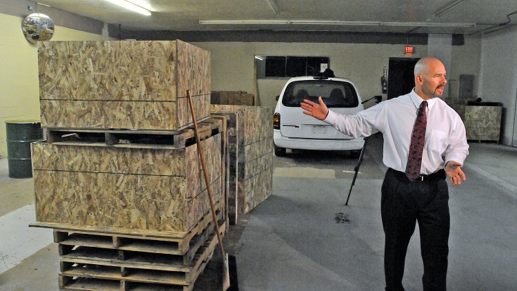 UK pallets ‘don’t spread pests’
