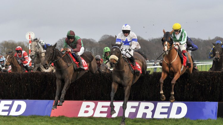 Cap on FOBT stakes could benefit horse racing