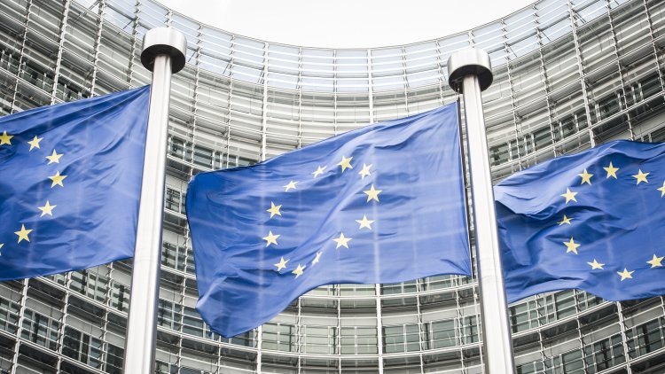 The Government is missing a trick by talking down the UK's role in EU elections