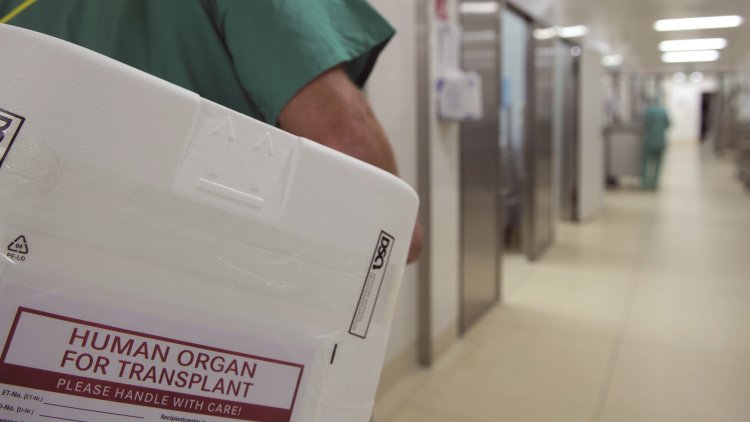 The Organ Donation Bill can save lives – but we need MPs' support
