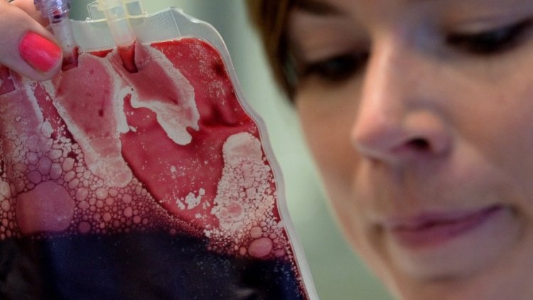 Theresa May orders inquiry into NHS contaminated blood scandal