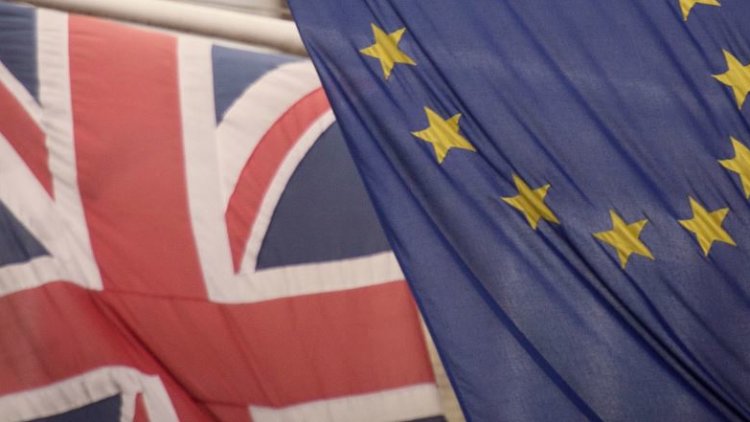 Anti-Brexit campaign grieves after 'crusading' colleague dies in Sydney plane crash