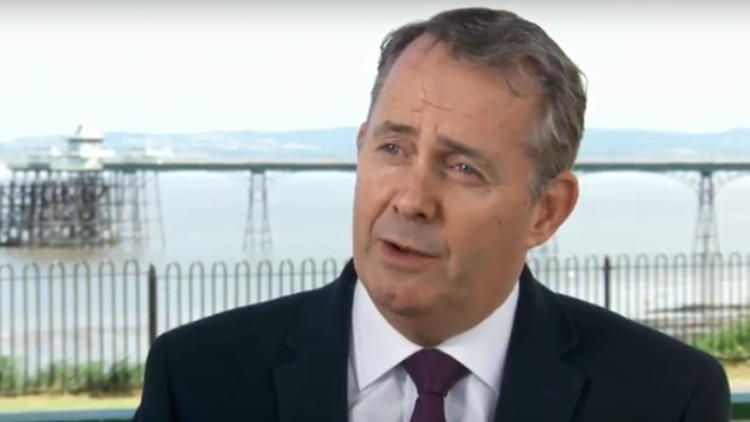 WATCH Theresa May ‘not bluffing’ over no deal Brexit threat, says Liam Fox