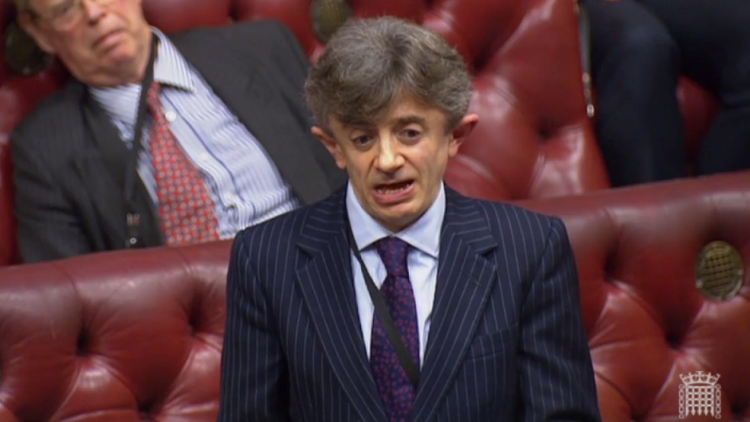 Tory peer threatens to quit party over axing of disability champion role