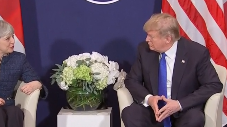 WATCH Donald Trump: Theresa May and I 'like each other a lot'