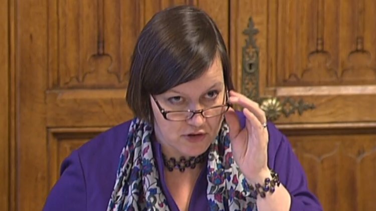 Hillier: govt will struggle to deliver Brexit border changes