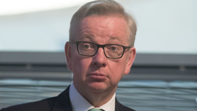 Michael Gove says new law will recognise animals as ‘sentient beings’ after fake news row