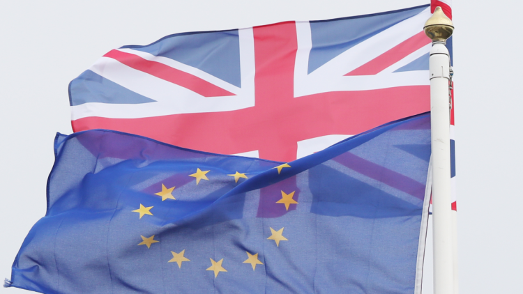 Businesses raise alarm over skills shortages as number of EU migrants coming to UK plummets