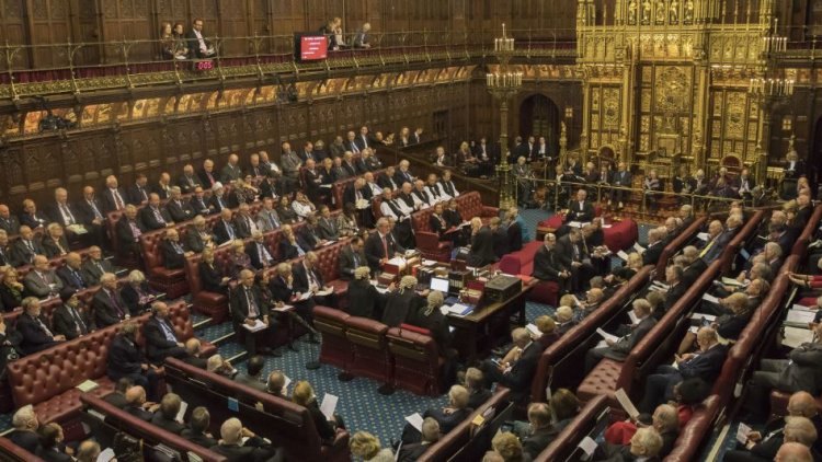 EXCL House of Lords aides win access to abuse hotline in wake of Westminster harassment storm
