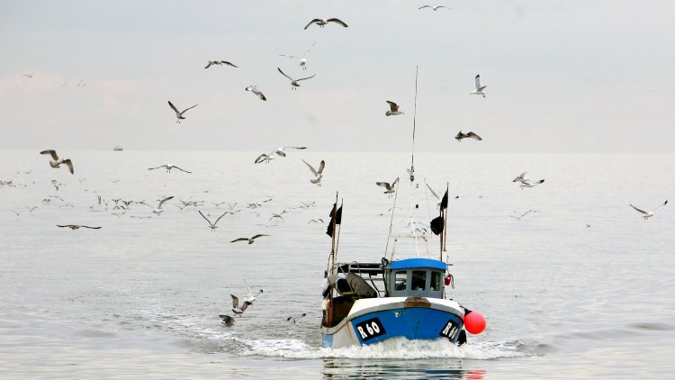 Brussels ‘preparing to back down’ over EU fishing quotas