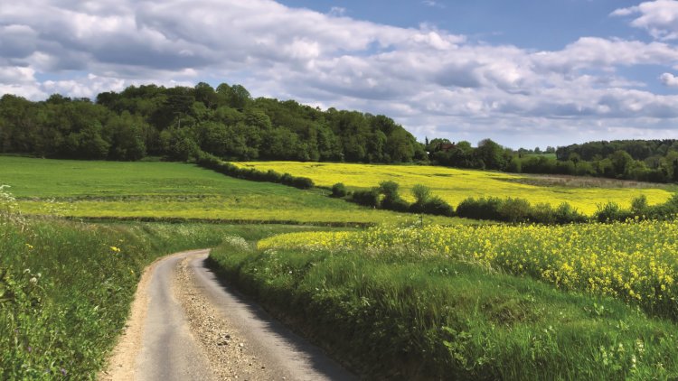Woodland Trust CEO: This is a significant moment for our woods and trees