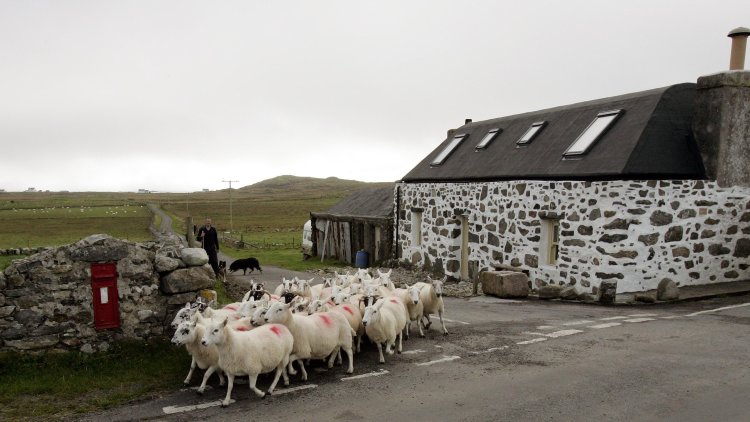 British farmers & crofters must be listened to in the debate on post-Brexit agriculture