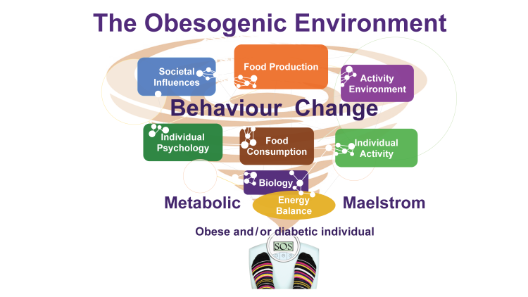 How to change UK's complex 'environment of obesity'
