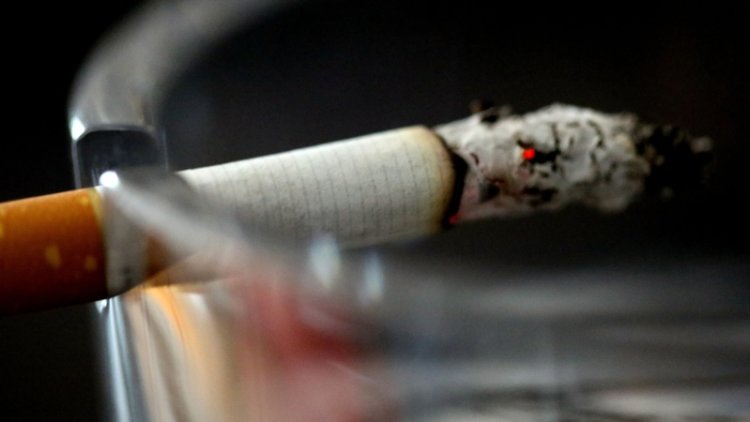 Vitally important that plain packaging becomes law