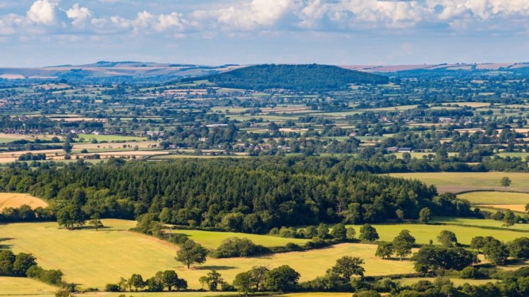 Incentivising development away from precious greenfield sites