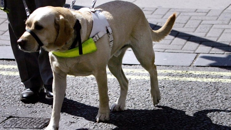 Pavement Parking Law - ensuring a safe passage
