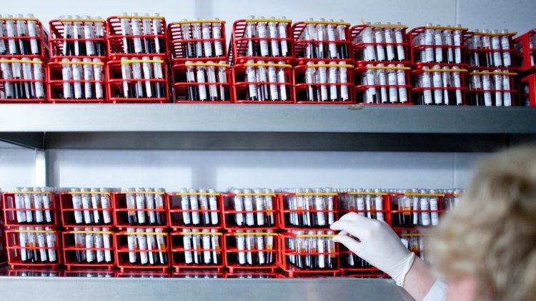 15,000 die each year from blood cancer, but awareness remains low