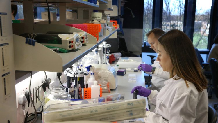 Government must commit to fully implementing the Rare Diseases Strategy