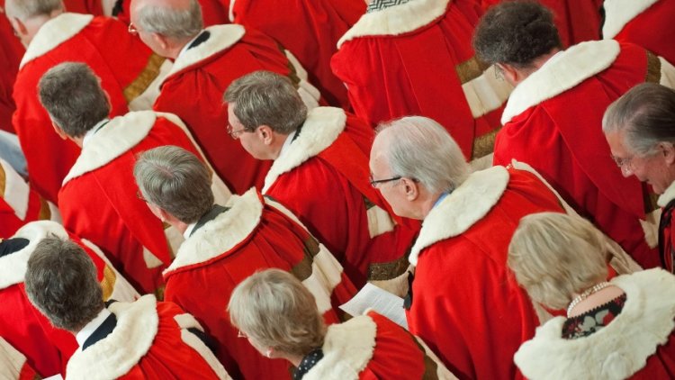 House of Lords must not become 'an impotent debating society'