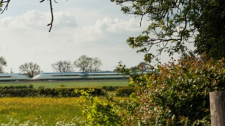 Making the case to protect ancient woodland to the HS2 Bill Committee