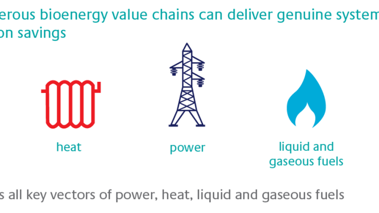 Bioenergy hailed as ‘low carbon game changer’