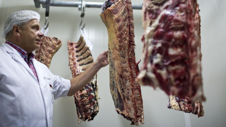 Govt urged to end non-stun slaughter