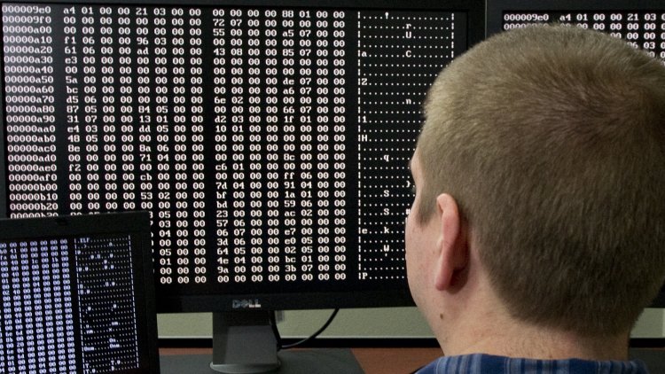 Global businesses will spend more on cybersecurity - EY survey