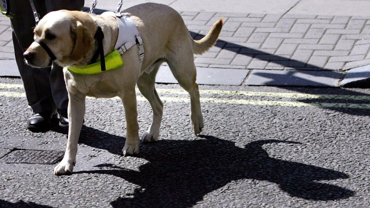 Ideal Queen’s Speech: a Bill to strengthen pavement parking law