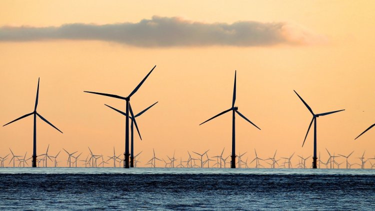 The Conservatives have proved that the economy can benefit from going green